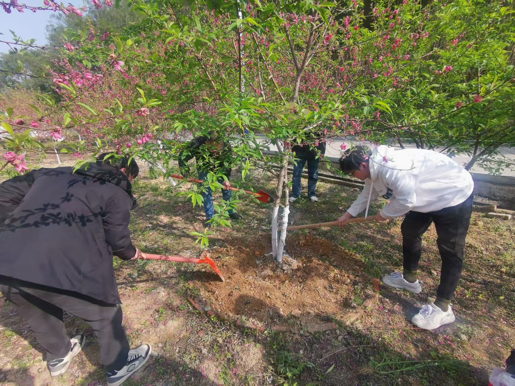 攀宇科技｜2026年“绿意绵延·同心同行”为主题的植树节护绿行动温情启幕(图31)
